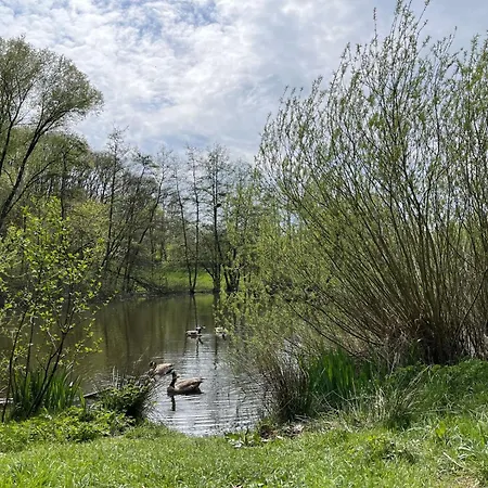 Sorgenfrei By Interhome Holiday home Frankenau